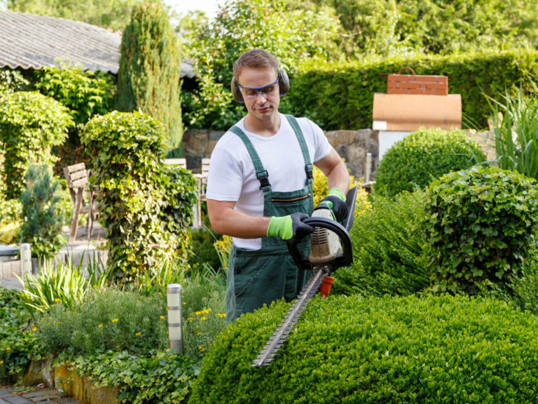 Emploi jardinier | Formation, salaire et débouchés